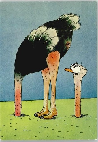 Artist signed strill - g.,